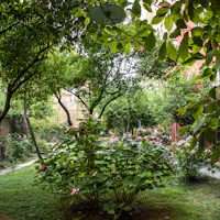 CASA CARBONE | ph. Stefano Bertolotti | © FAI - Fondo Ambiente Italiano Giardino, CASA CARBONE, LAVAGNA, GENOVA