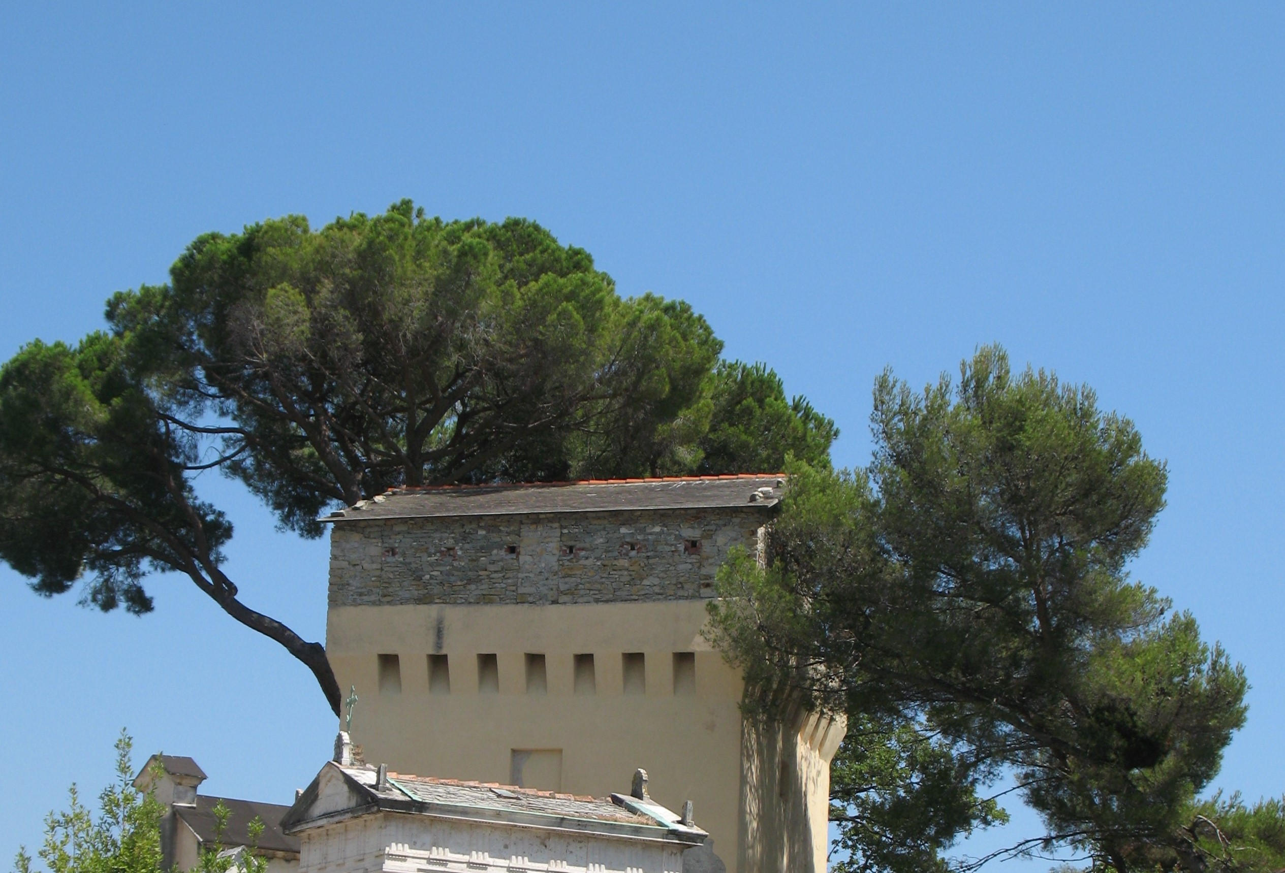 PROMONTORIO E TORRE DI PUNTA PAGANA | ph. © Anna Comi