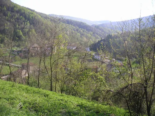 ISOLETTA