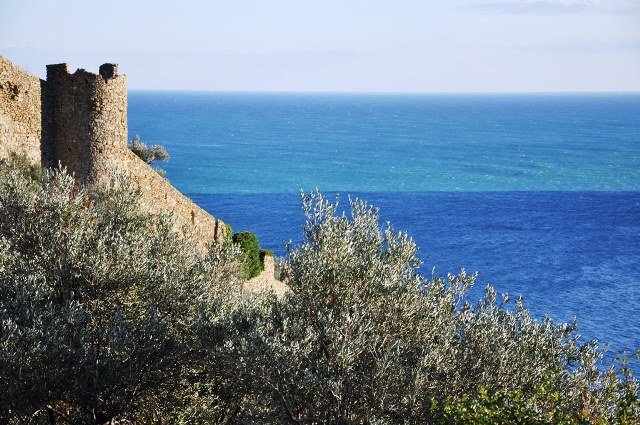 IL CASTELLO DI MONTE URSINO