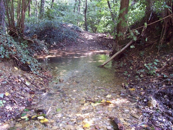 AREA DEI FONTANILI I MONTAGNETE