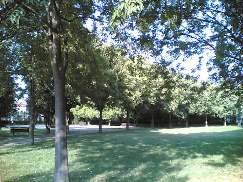 PARCO DEL BREMBO - BOSCO DELL' ITALIA