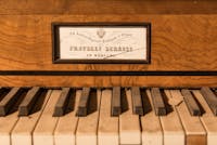 plesso di san michele plesso di san michele