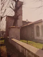Madonna dell'olmo