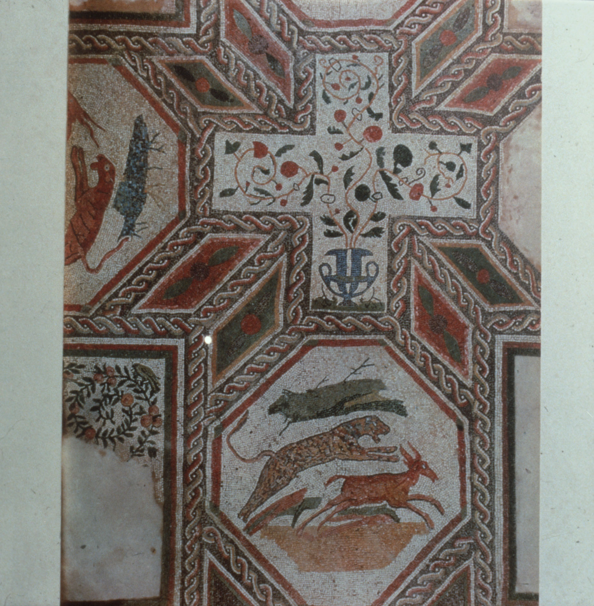VILLA ROMANA E ANTIQUARIUM