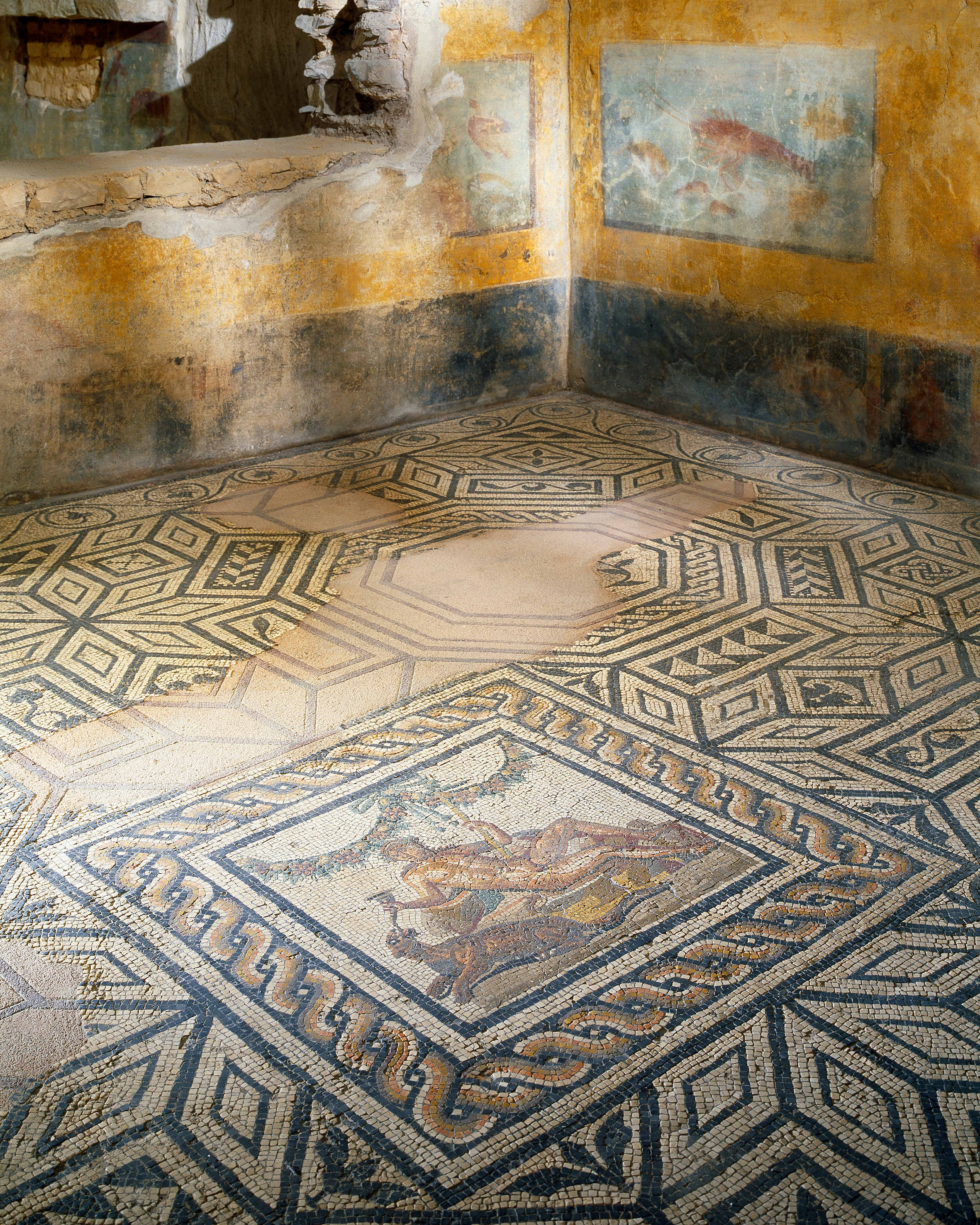 LE DOMUS DELL'ORTAGLIA