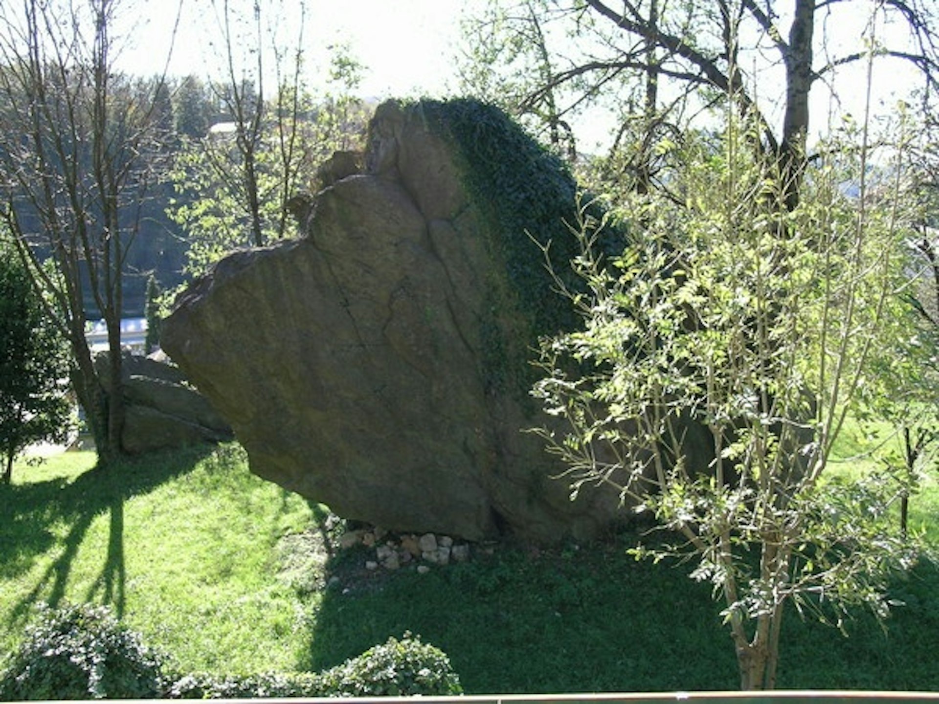 SASSO DELLA PEPPINA MASSI ERRATICI I Luoghi del Cuore FAI