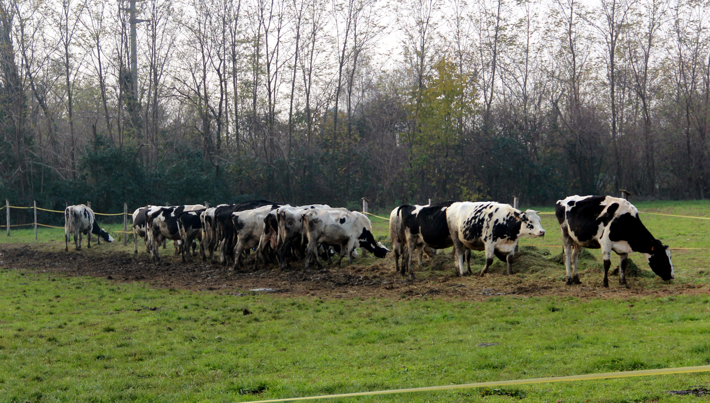 AZIENDA AGRICOLA FRATELLI PONZIN