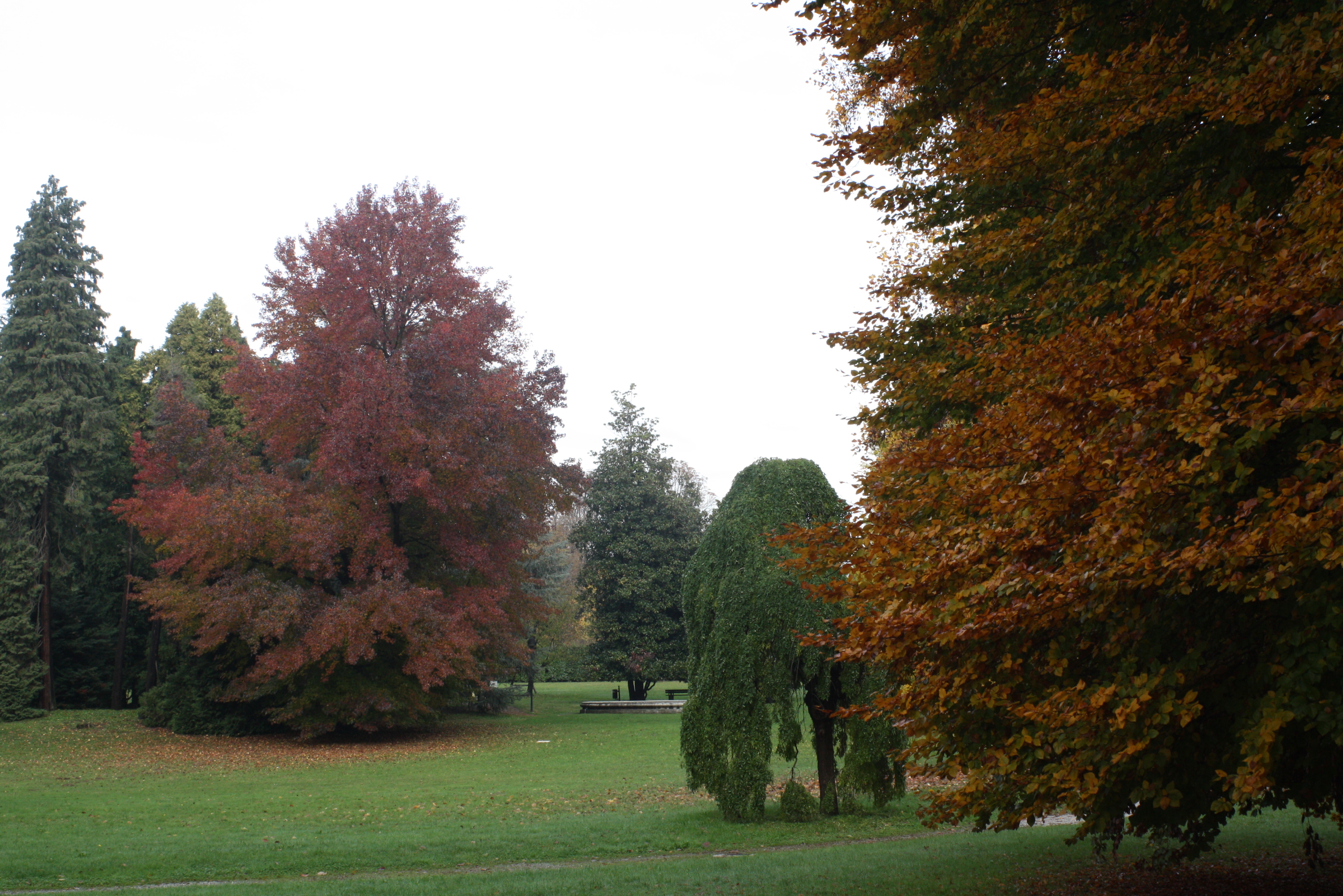 PARCO COMUNALE
