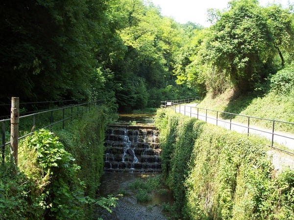 L'ECO MUSEO DI LEONARDO