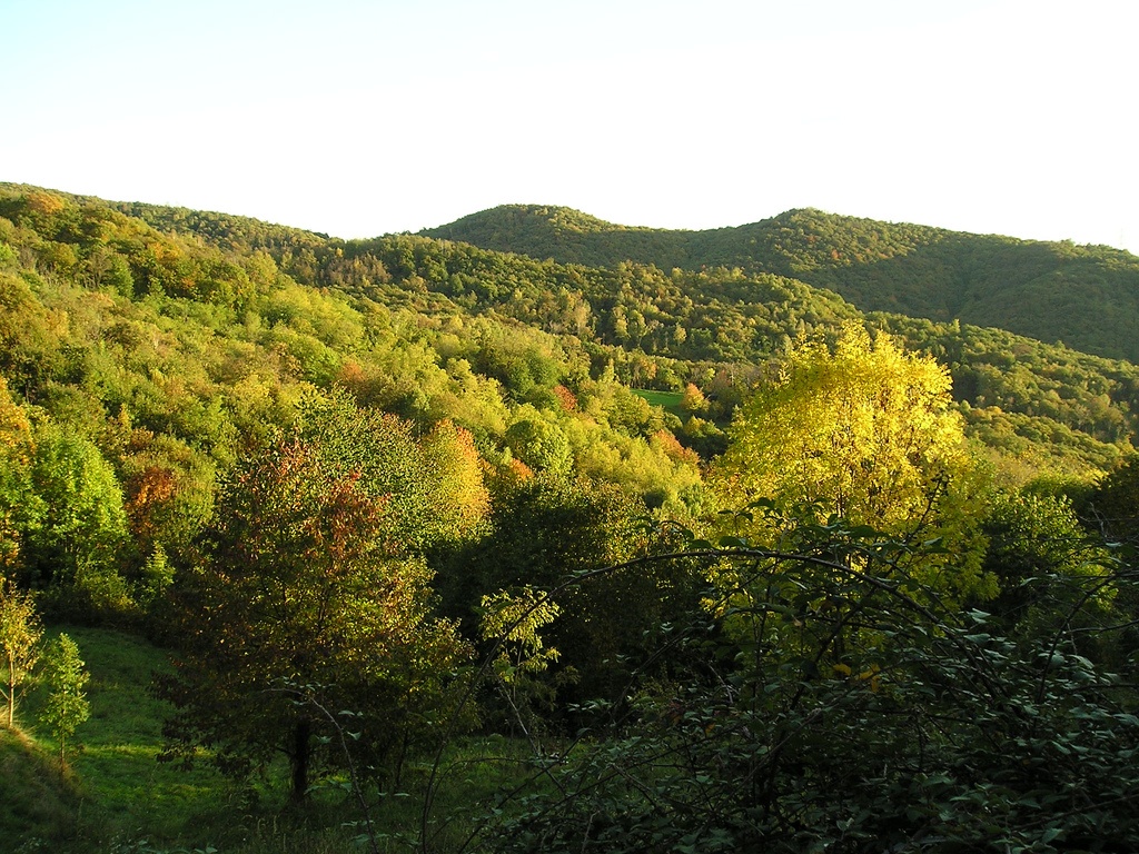 EREMO SAN GENESIO