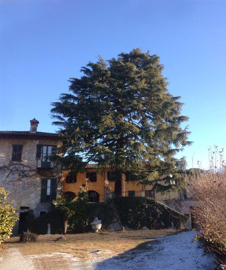 VILLA MEDA E ORATORIO DI S. ROCCO