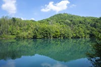 Traghetto di Leonardo da Vinci