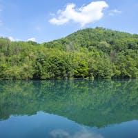 Traghetto di Leonardo da Vinci Traghetto di Leonardo da Vinci