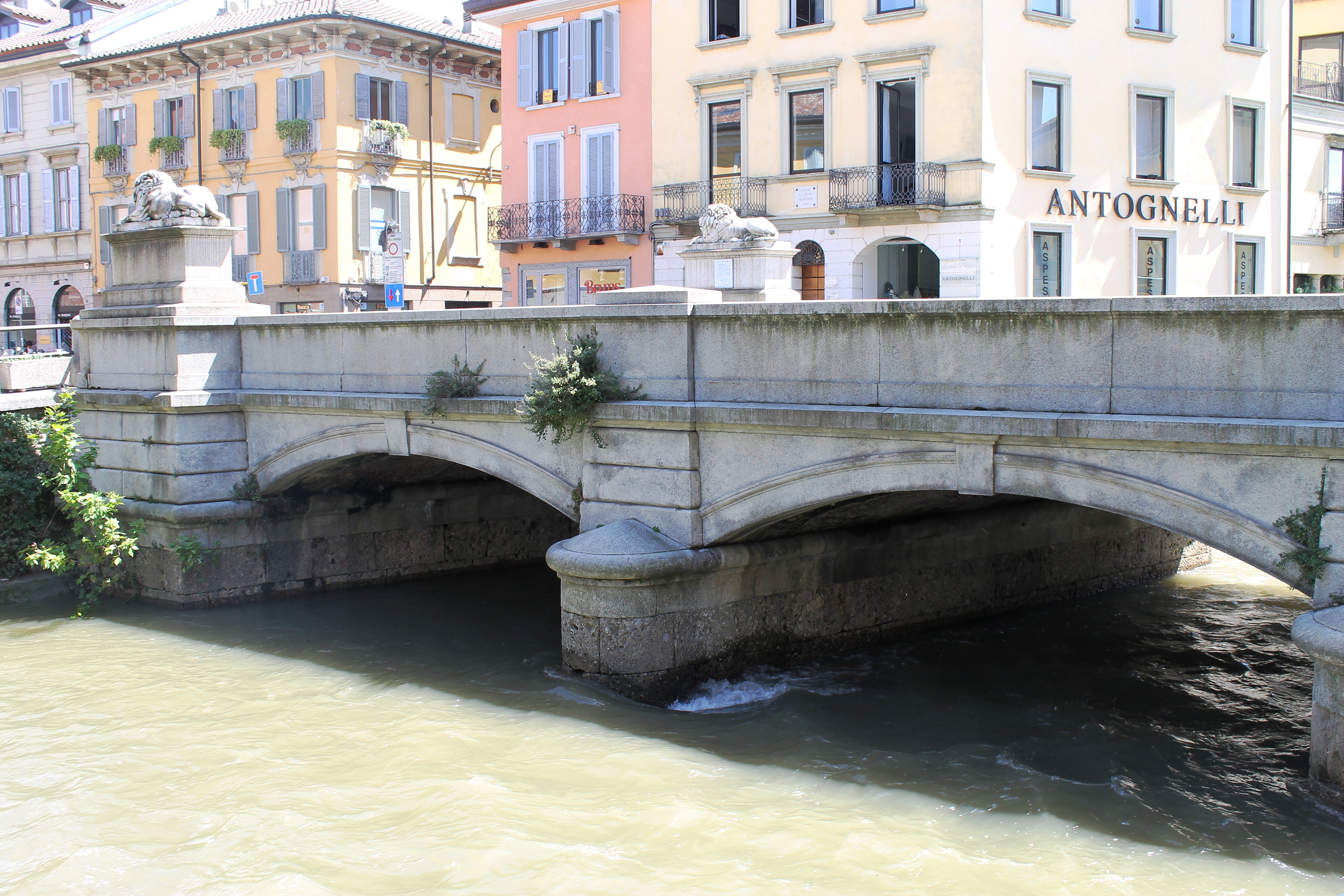 PONTE DEI LEONI