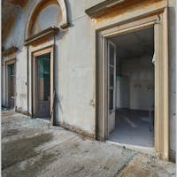 mirabellino mirabellino