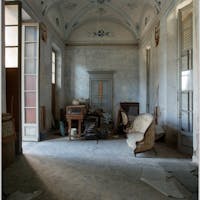 mirabellino mirabellino