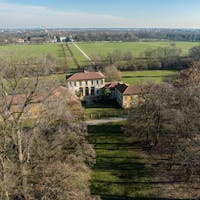 mirabellino mirabellino