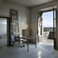 mirabellino mirabellino