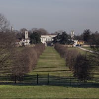 mirabellino mirabellino