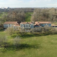 mirabellino mirabellino