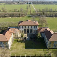 mirabellino mirabellino