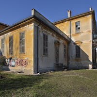 mirabellino mirabellino