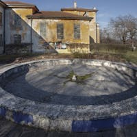 mirabellino mirabellino