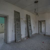 mirabellino mirabellino