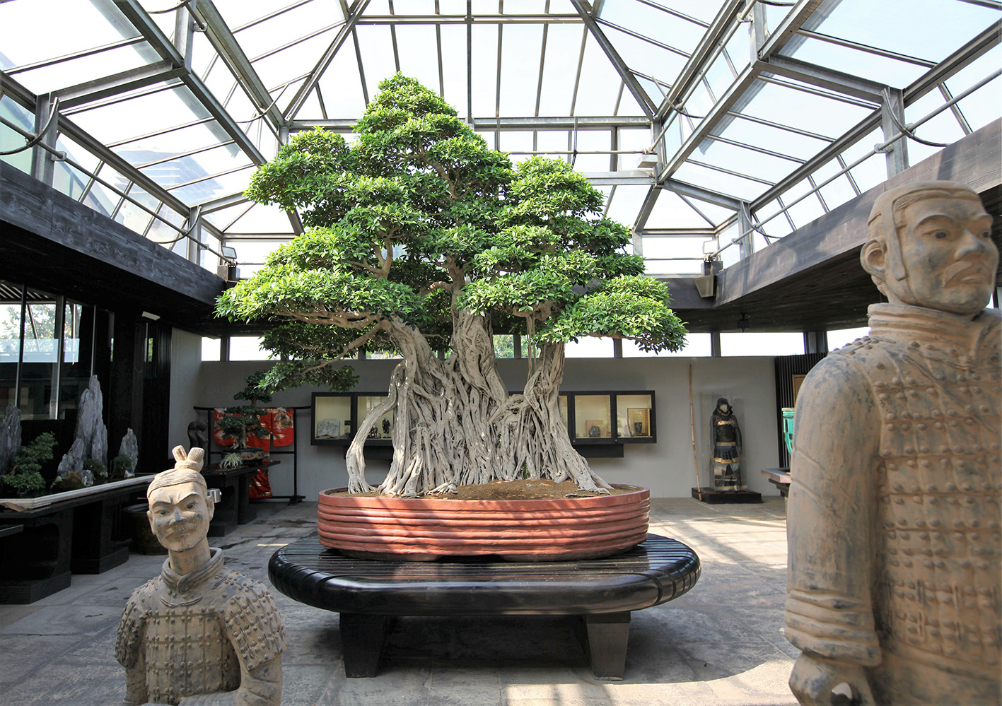 CRESPI BONSAI MUSEUM