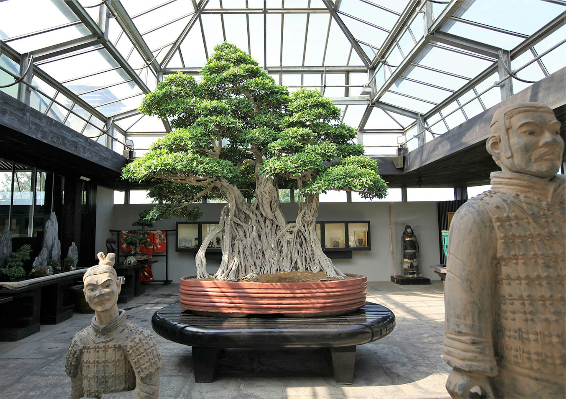 CRESPI BONSAI MUSEUM I Luoghi del Cuore FAI