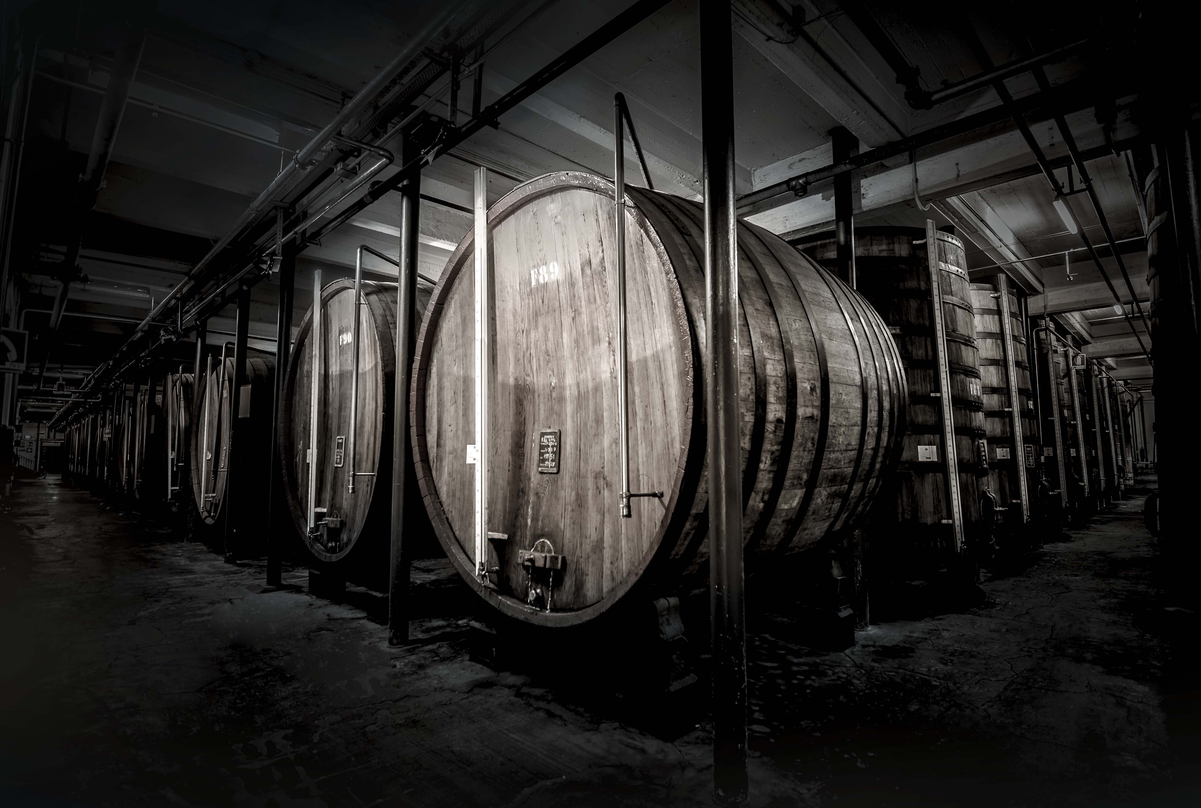 MUSEO COLLEZIONE BRANCA E CANTINE