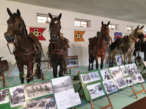 COLLEZIONE PRIVATA MOYERSOEN DELLA CAVALLERIA MILITARE NEL PERIODO 1939 - 1945