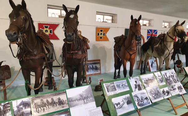 COLLEZIONE MOYERSOEN: IL RUOLO DELLA CAVALLERIA 1939 1945