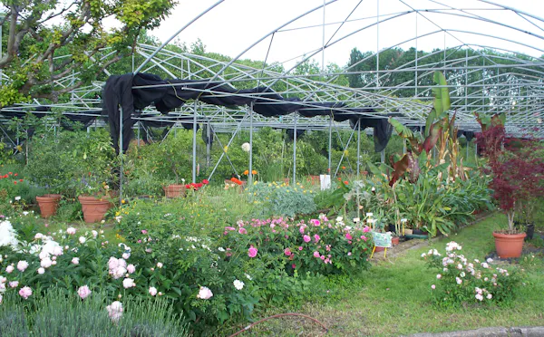 MuBAJ - Museo Botanico Aurelia Josz