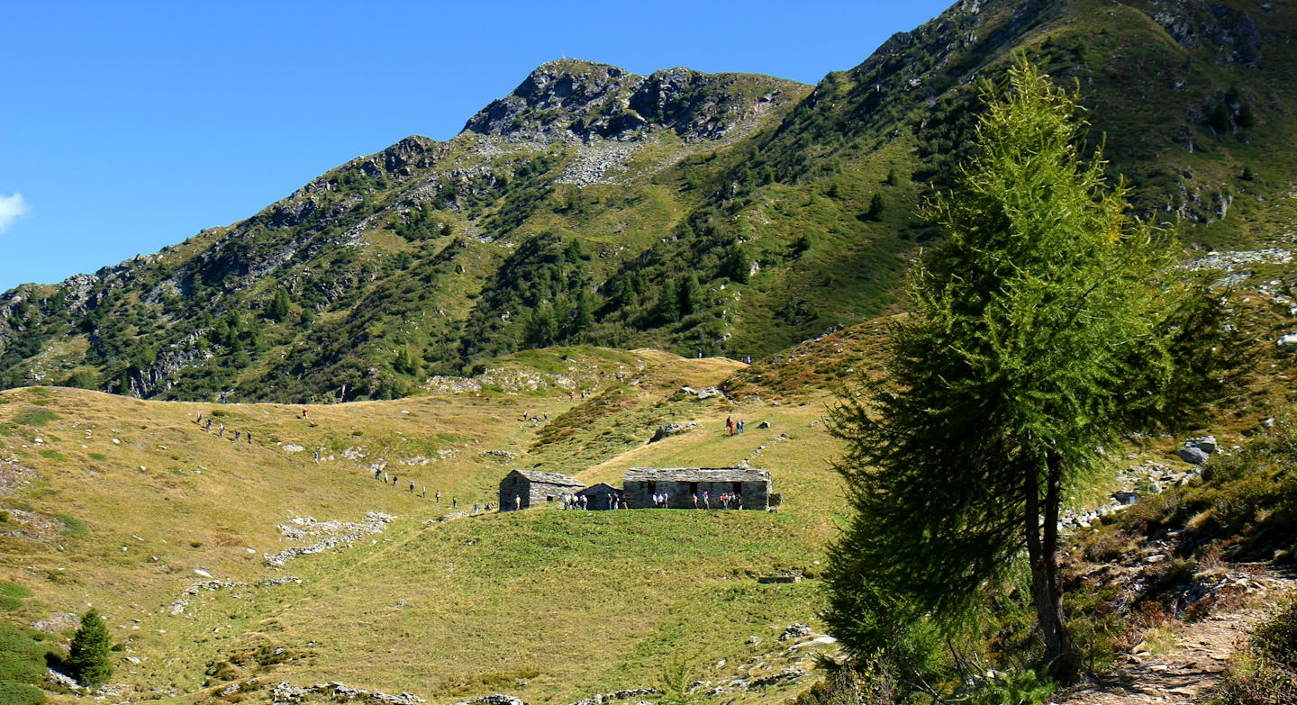 ALPE PEDRORIA E ALPE MADRERA | ph. Valentina Pasolini | © FAI - Fondo Ambiente Italiano ALPE PEDRORIA E ALPE MADRERA | ph. Valentina Pasolini | © FAI - Fondo Ambiente Italiano