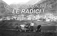 Alute Bormio