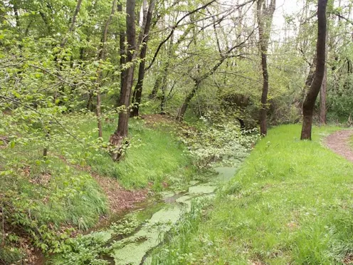 PARCO DEL FONTANILE DI S. GIACOMO