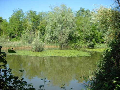 OASI FAUNISTICA BOZA