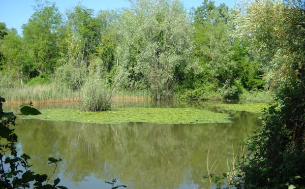 OASI FAUNISTICA BOZA