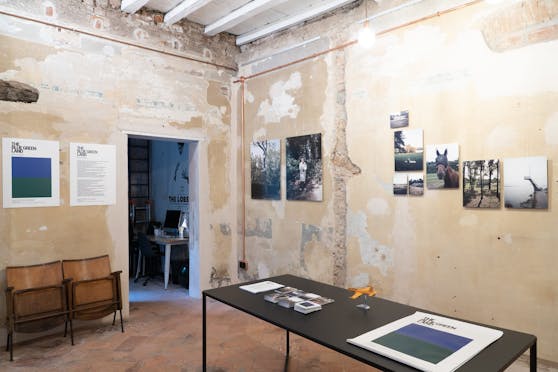 THE BLUE GREEN LAND - MOSTRA AL PREMIATO BISCOTTIFICIO DI VARESE