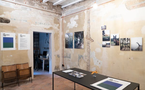 THE BLUE GREEN LAND - MOSTRA AL PREMIATO BISCOTTIFICIO DI VARESE