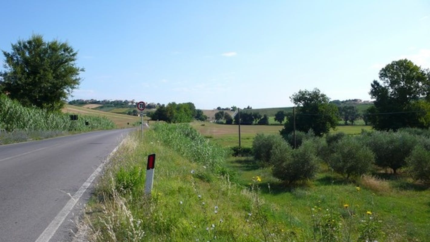 CAMPAGNA COLTIVATA TRA LA STRADA STATALE E IL MARE CAMPAGNA COLTIVATA TRA LA STRADA STATALE E IL MARE