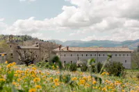 renacavata renacavata