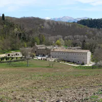 renacavata renacavata
