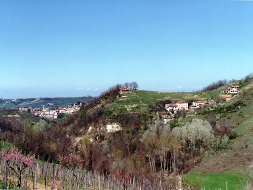 BORGATA BOZZOLLINA