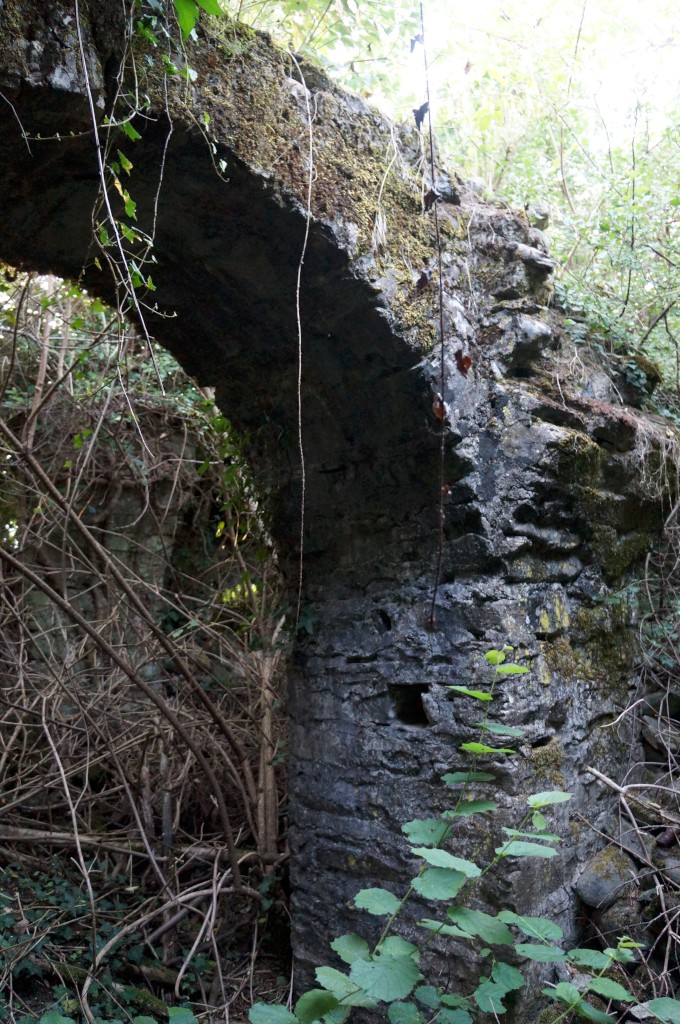 TORRAZZI DEL LIMES BIZANTINO