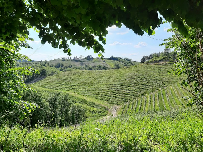 SANTA MARIA MAZZARELLO E LA SUA VALPONASCA | Giornate FAI