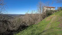cremolino
