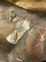 restauro Madonna Addolorata restauro Madonna Addolorata